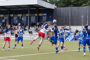 Bild 145 - wBJ Hamburger SV - FC Suederelbe : Ergebnis: 9:0